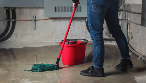 Best Commercial water damage restoration  in Plafield, IN