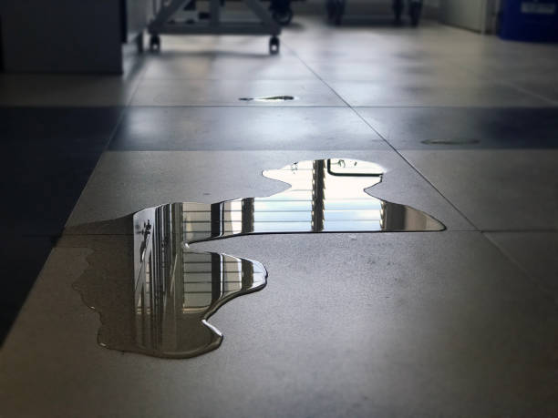 Best Water damage restoration near me  in Plafield, IN