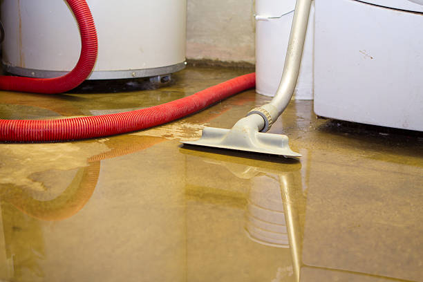 Best Water damage contractors near me  in Plafield, IN