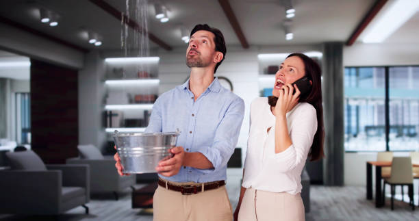 Best Residential water damage restoration  in Plafield, IN